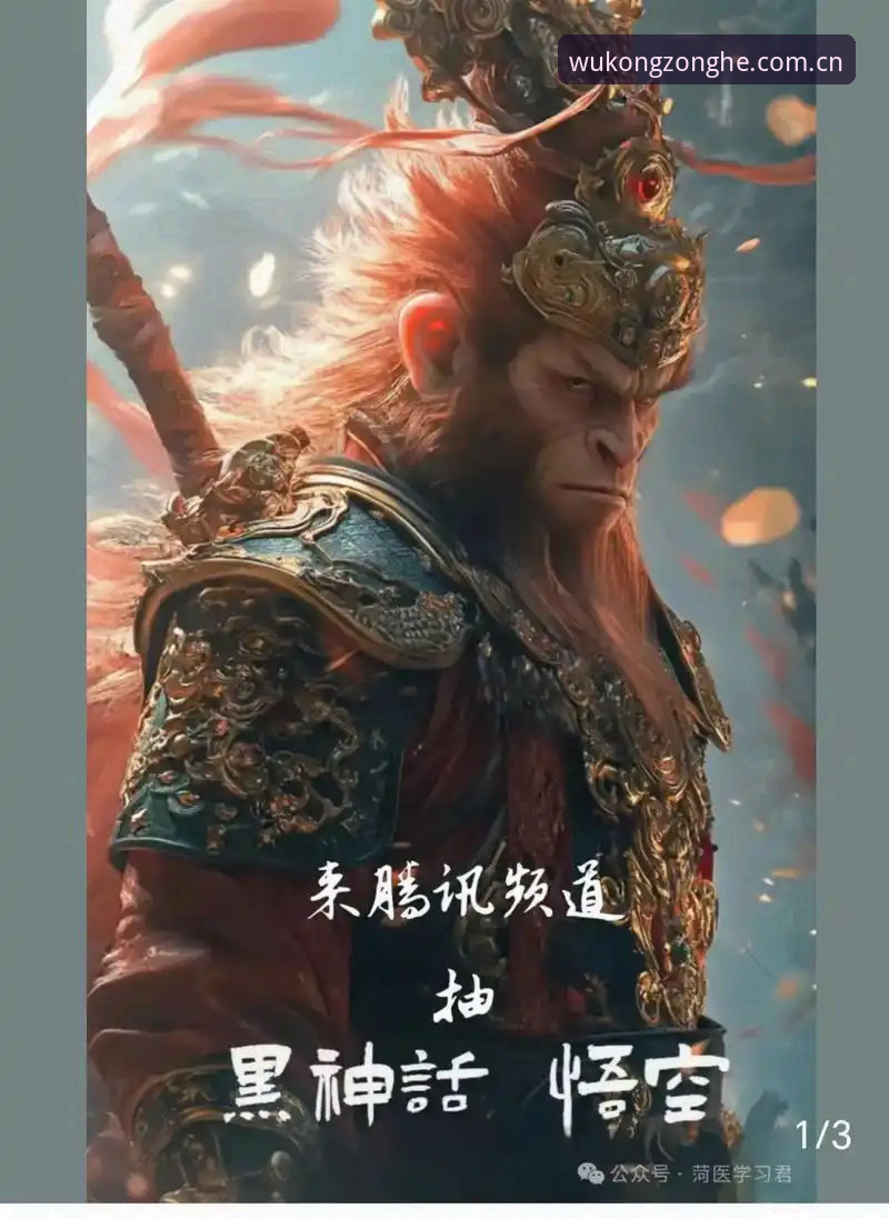 悟空体育综合平台深度评测：从安装到实战，一个老用户的全流程体验